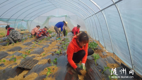 ��ɽ�(zh��n)�r(n��ng)���߲ˌ��I(y��)�������½���100���ߘ�(bi��o)��(zh��n)�Ĝ��Ҵ���