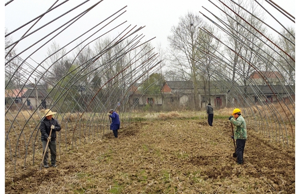 �����r��(ji��)����æ