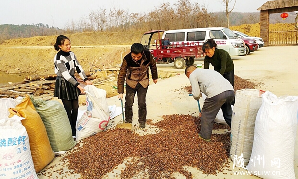 ����(zh��n)��ɽ�ֈ����î�(d��ng)?sh��)��S����ɽ���YԴ�������l(f��)չ�Ͳ�a(ch��n)�I(y��)