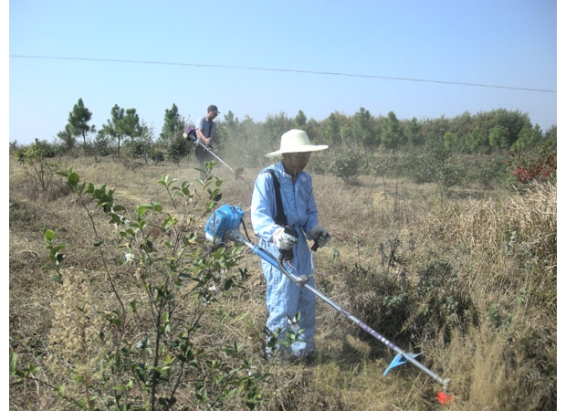 �S���U�B(y��ng)���B(t��i)�r(n��ng)�I(y��)�Ƽ����޹�˾���ߡ������磫�r(n��ng)�������أ����^��I(y��)���İl(f��)չ֮·