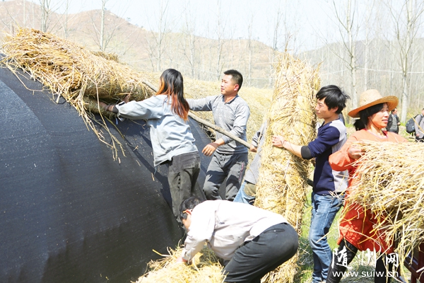 �S�h����(zh��n)���Ҟ�����M�����w�h�_չʳ�þ��Nֲ�����l(xi��ng)����ͬ�¸�