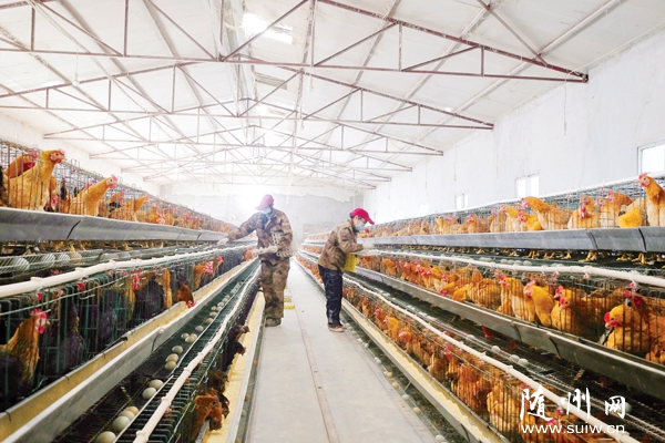 �ƿh�(zh��n)�����r(n��ng)�����޹�˾�����S�ݱ������u�YԴ�M(j��n)���ἃ����(y��u)