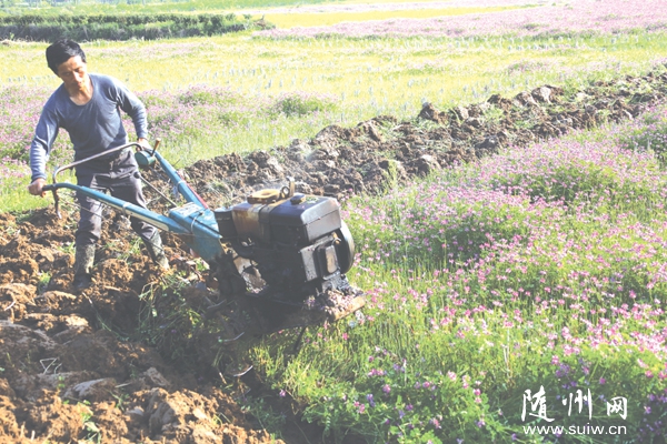 �S�h�����(zh��n)�r(n��ng)�����î�(d��ng)ǰ���������e�O�_(k��i)չ�r(n��ng)�I(y��)���a(ch��n)