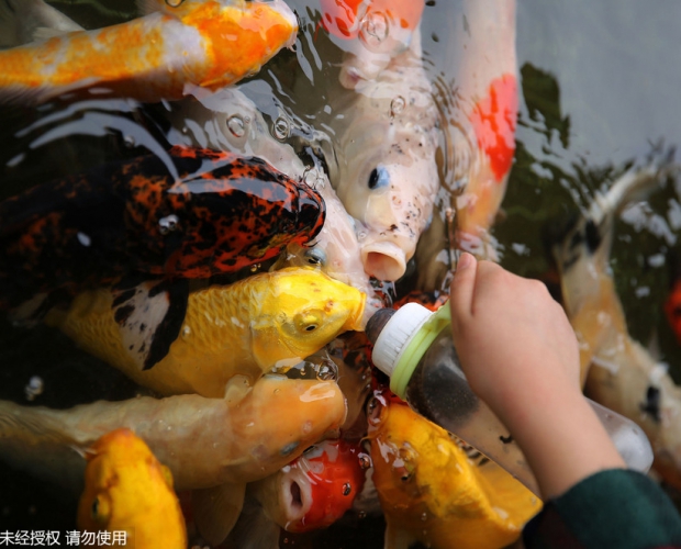 �ӱ��������۳ԡ��̡����~��������