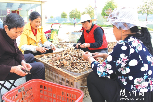 �S�h�h(hu��n)̶�(zh��n)�(zh��n)��317��ؚ����������ַNֲ�㹽�a(ch��n)�I(y��)Óؚ��