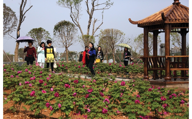 ���B(t��i)�^�����Ρ�������