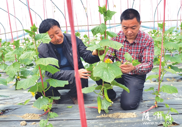 �S�ݸ��^(q��)�����(zh��n)����������l(f��)չ�߲����w�Nֲ