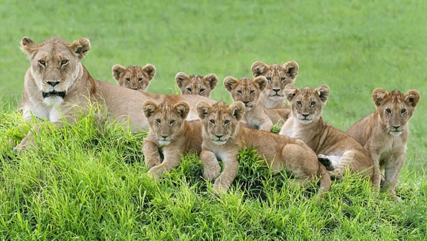 ̹ɣ�၆�{����ȫ�Ҹ��R�^��ʮ��