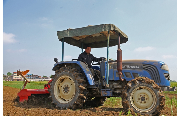 �������a(ch��n)æ