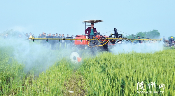 �S�ݸ��^(q��)�����(zh��n)�e�O�ƏV�����¼��g