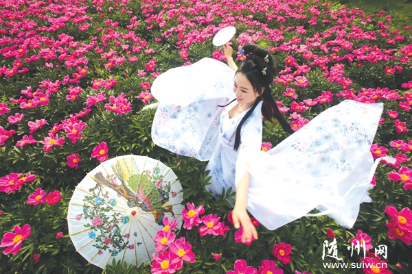 �S�h�ݵ��(zh��n)�����l(f��)չ���ήa(ch��n)�I(y��)