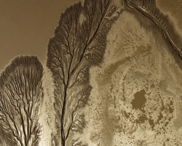 ���_����Ӻ�����Ƭ�·���ֲ�