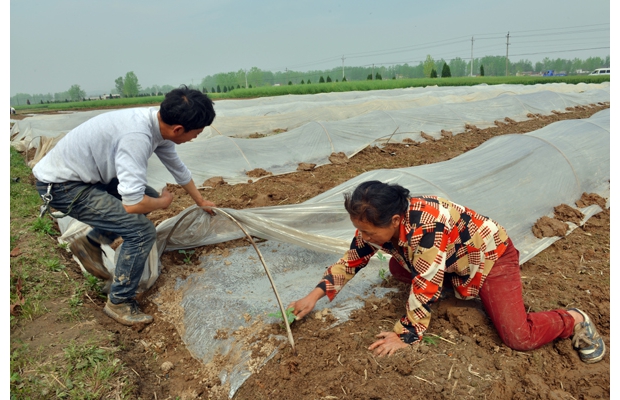 ���^(q��)�����(zh��n)ꖹ�����(j��)�Ј�(ch��ng)����e�O�{(di��o)���Nֲ�Y(ji��)��(g��u)