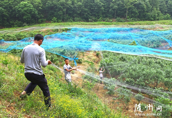 �S�h��ɽ�(zh��n)�⽭�{(l��n)ݮ�@���{(l��n)ݮ������������