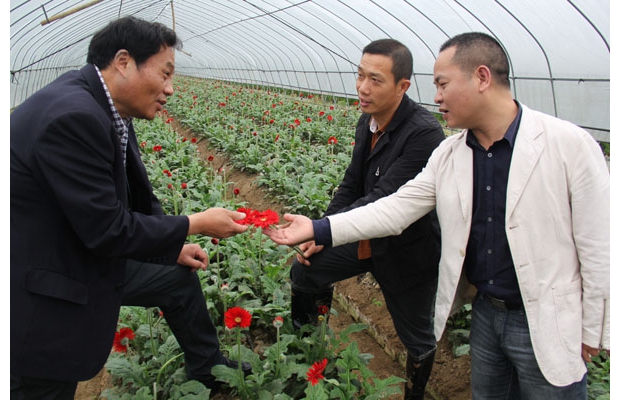 �����^(q��)�ε��(zh��n)150���r��ϲ�@�S��