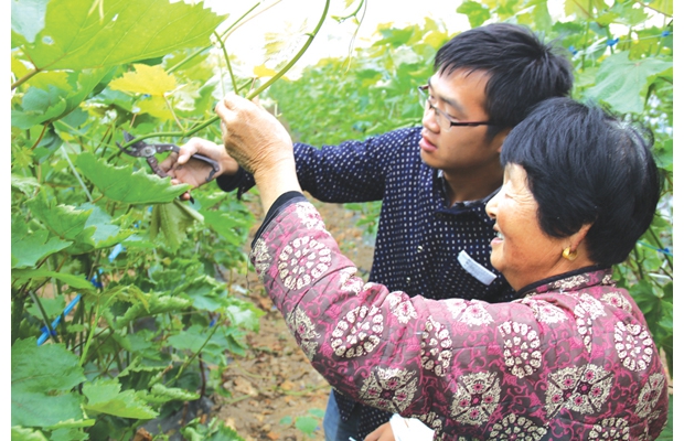 �S���������^(q��)�r(n��ng)�����ь��I(y��)���g(sh��)�f(xi��)��(hu��)��600�������L(zh��ng)��(sh��)ϲ��