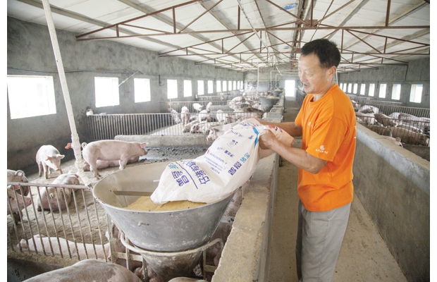 �S���и��ؽ���������Ƴ����e������(chu��ng)������Ͷ�Y�h(hu��n)������������ˆT���l(xi��ng)��(chu��ng)�I(y��)