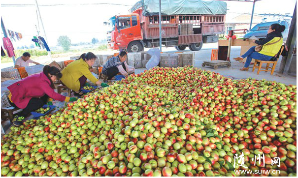 �S�h����������������