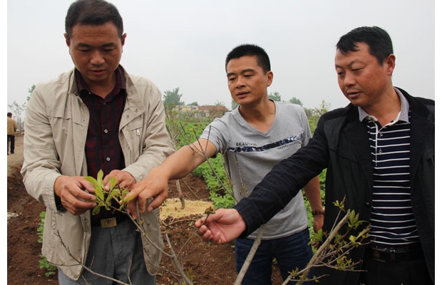 �S���������ߌ��I(y��)��������㽭���M(j��n)�ė�÷��ǰ���_ʼ���