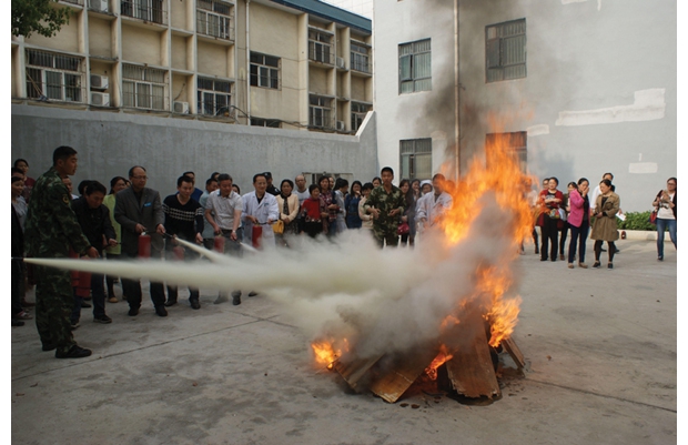 �����ݾ�