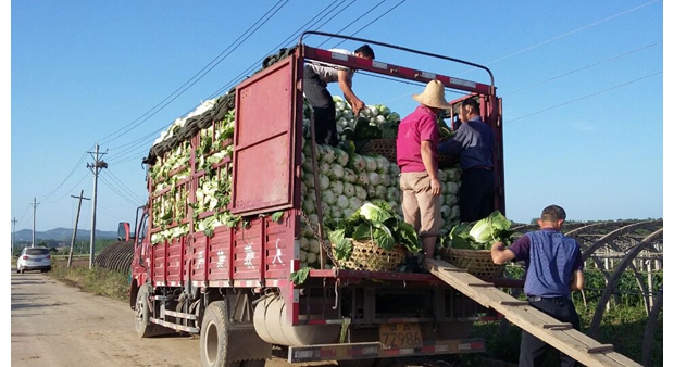 �����(zh��n)ꖹ���ײ��N���������Ϻ��ȵ�