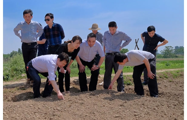 �S���v�Vˮ����(zh��n)�߷�幤��꠵�����ЌW(xu��)��(x��)�ٻ��˷Nֲ���g(sh��)