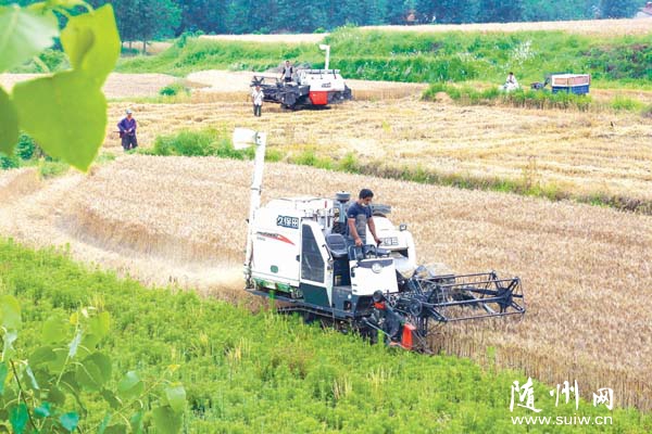 �S���н���С���ո���ȫ����_