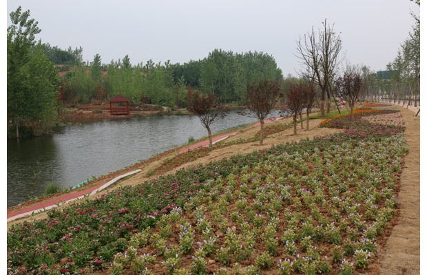 �S�������M(j��n)���l(xi��ng)�Gɫ����