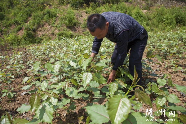 �S�h�����(zh��n)���r(n��ng)�������B(t��i)���I(y��)���������M�����Ʒ�N������