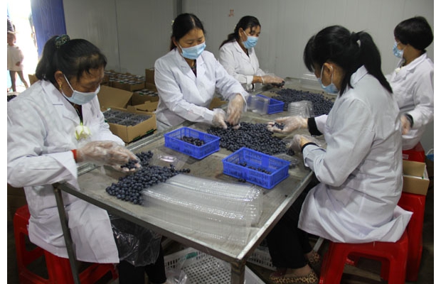 �{(l��n)ݮ�a(ch��n)�I(y��)�@ϲ�@�S��