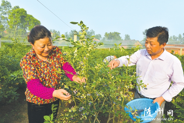 �S�ݸ��^(q��)�����(zh��n)���Ӟ���e�O�l(f��)չ�{(l��n)ݮ�Nֲ