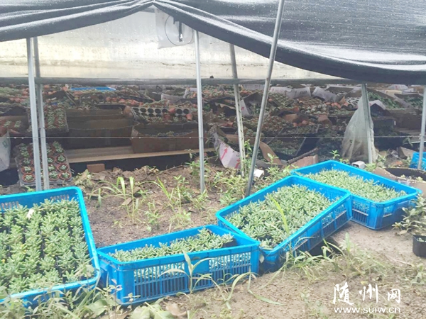 �Vˮ���ս�������ʹ�����I(y��)��(y��n)���ܞ�(z��i)