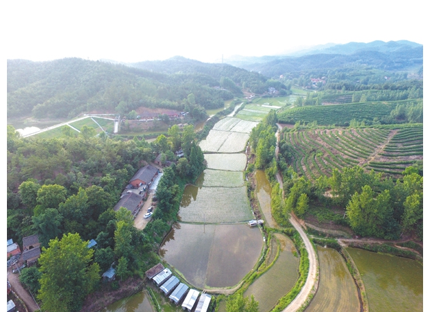 ��@�L(f��ng)��