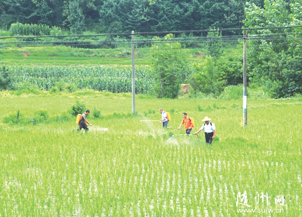 �����^(q��)����(zh��n)�M����Ⱥ��ˮ���r(n��ng)���M(j��n)������