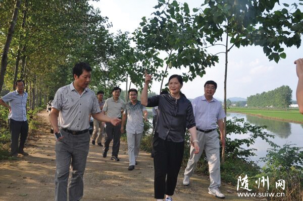 ʡؔ���d�I(l��ng)��(d��o)ҕ���S�h��(z��i)��