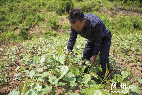 �����(zh��n)���r(n��ng)�������B(t��i)���I(y��)�������x�������Ʒ�N������