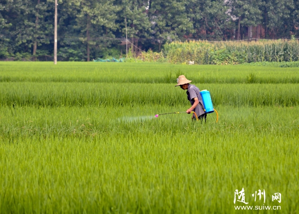 �S�h��ɽ�(zh��n)�r(n��ng)���_չ���g���a(ch��n)���������β��x��(z��i)��