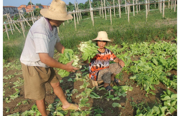 �����߲�֧�֞�(z��i)�^(q��)�Ј�����(y��ng)