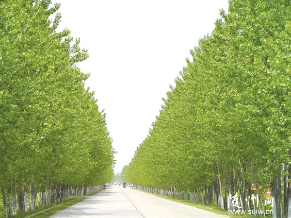 �G�Mɽ���L�\�C