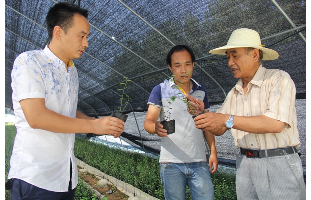 �A�r(n��ng)����ڌ��{ݮ�@�ƌW(xu��)ָ��(d��o)�a�ȴ�ʩ