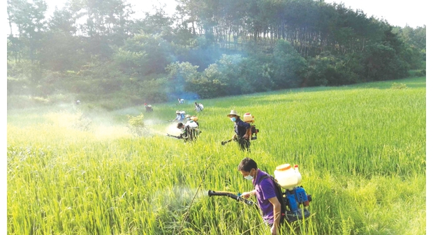 �Vˮ���Rƺ�(zh��n)Ѹ�لӆT����푞�(z��i)���x���ι��ԑ�(zh��n)