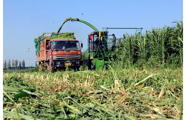 �½����原��ʮһ�F�F�������Nֲ����