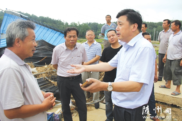 �A�r(n��ng)���ڵ����(y��ng)�(zh��n)ָ��(d��o)��(z��i)�����a(ch��n)���g(sh��)