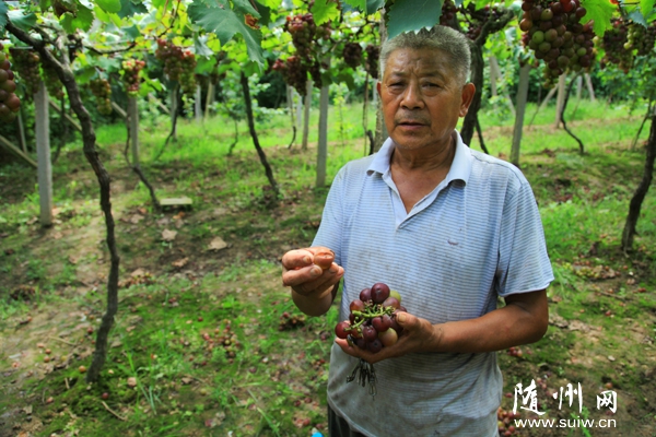 �����(zh��n)�����e�O��������������Nֲ���p�ٓpʧ