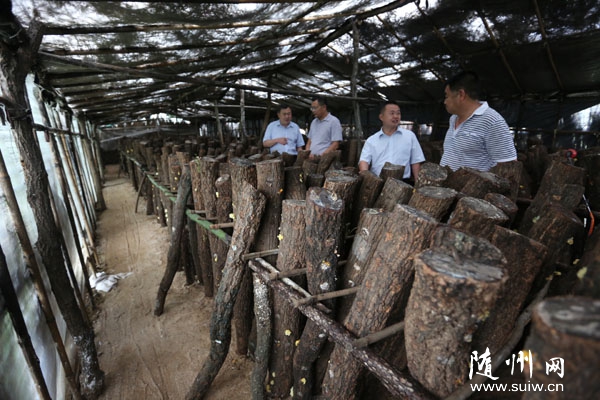 �̺��(zh��n)�S���P(gu��n)���r(n��ng)������ɽ��(ch��ng)�YԴ���l(f��)չ��ľ���Nֲ�����r(n��ng)����