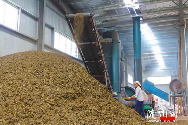 �����^(q��)���(y��ng)�(zh��n)�����l(f��)չ�y�Ӯa(ch��n)�I(y��)