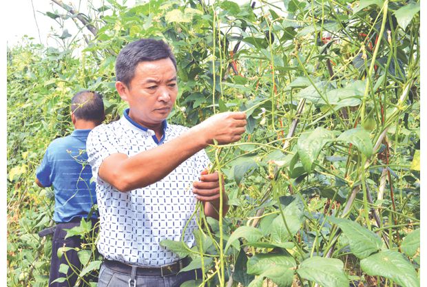 �S�ݸ��^(q��)�����(zh��n)�������{(di��o)�����طNֲ�߲���߽�(j��ng)��(j��)Ч��