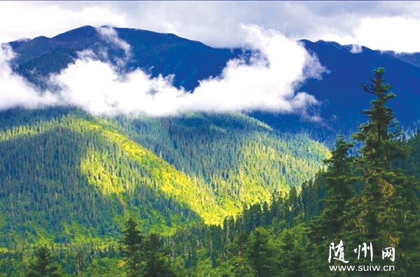 ���˶���^���塪���Vˮ��ʮ���k��̎�^������������l(xi��ng)���(c��)ӛ