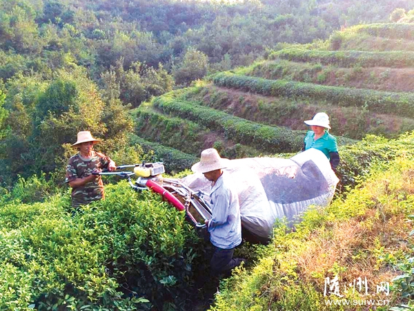 �ε��(zh��n)��Pɽ��������˂���æ���òɲ�C(j��)�������