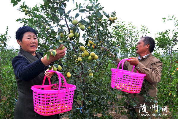 �S���к����˾�Nֲ���r(n��ng)С��ϲ�@�S��